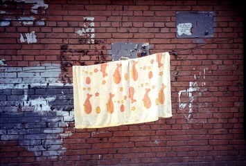 Scan-160804-0042