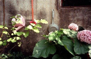 Scan-160804-0043