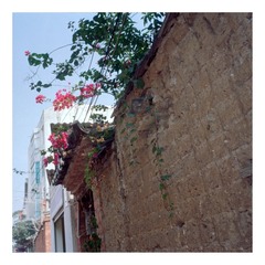 Scan-161014-0033