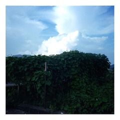 Scan-161018-0033