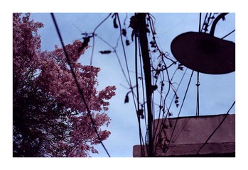 Scan-170417-0027