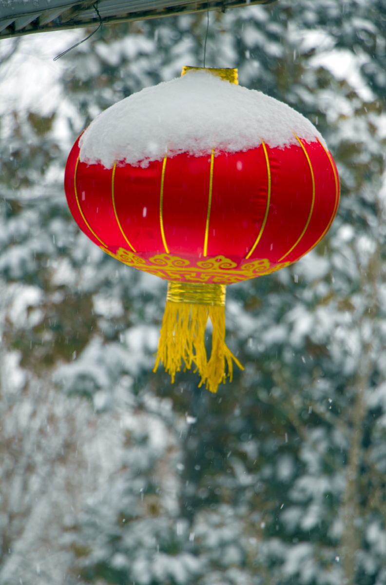 雪中的大红灯笼
