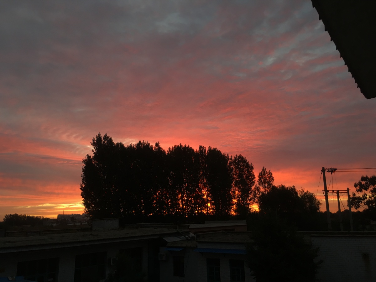 不知道起什么网名好