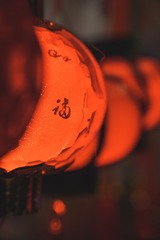501CF5E5-1A76-4E6D-B147-8967B85B684F/L0/001