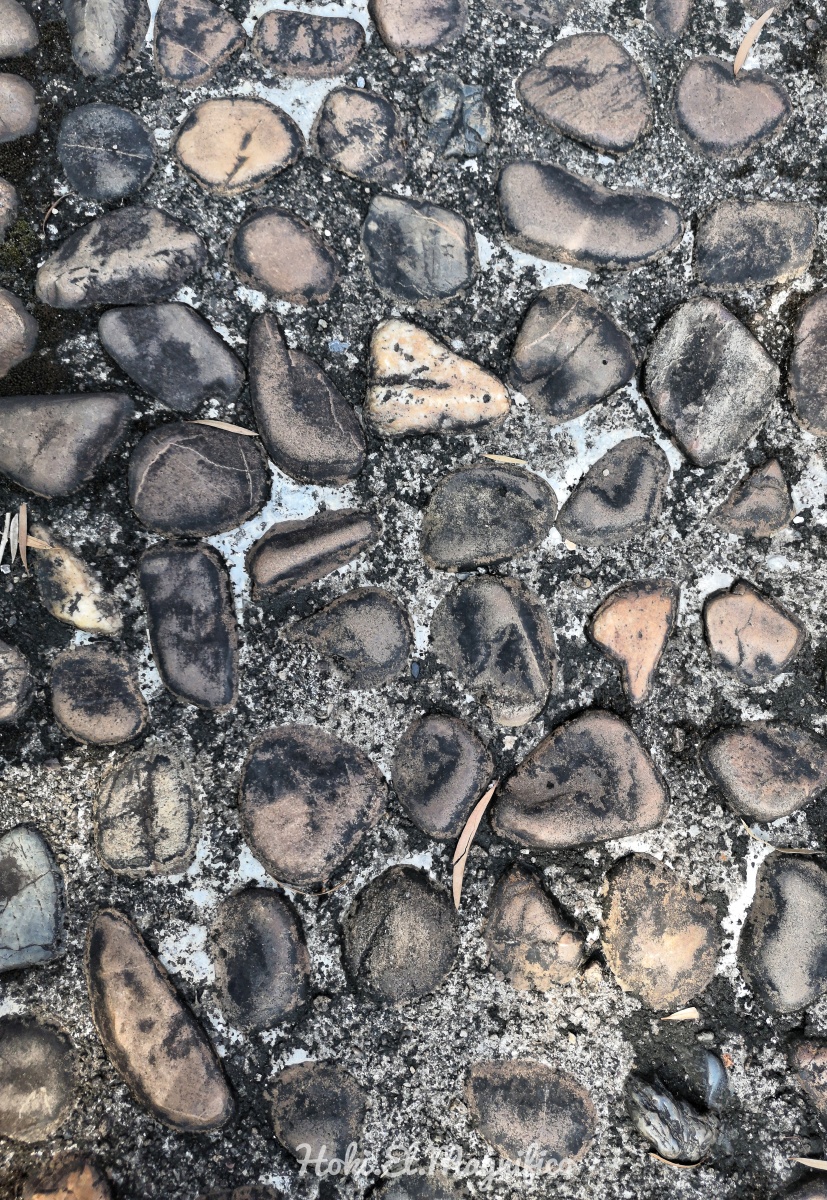 hoki-el-magnifico - 图虫网 - 优质摄影师交流社区