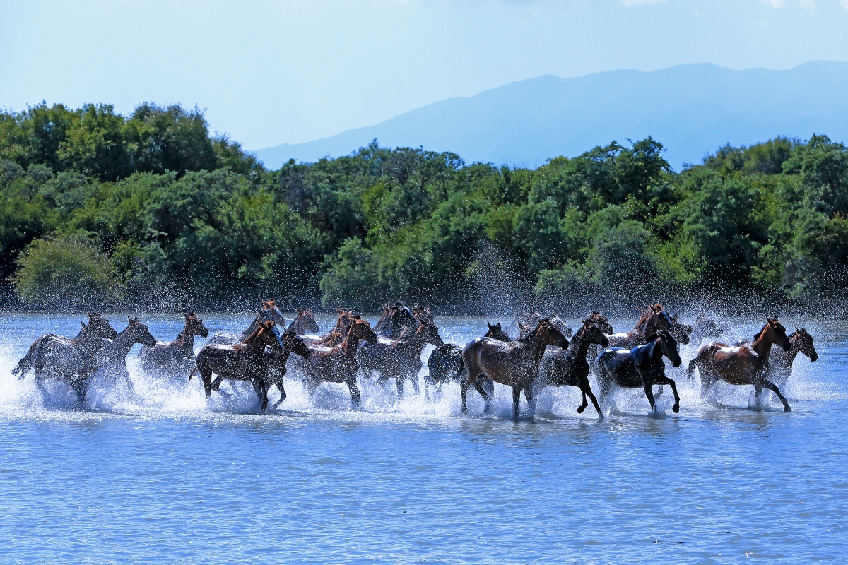 天马浴河 - 眯着眼睛看山水 - 图虫