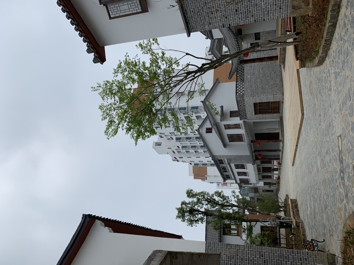 16年十堰郧阳岛龙韵村扶贫搬迁项目,主要做了记忆街及住宅区景观部分