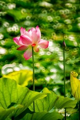7DSC07997