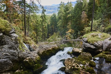 _DSC3589