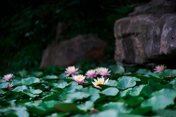 001