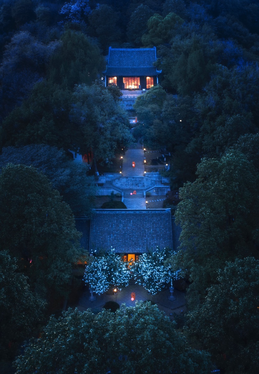 夜未央崇正书院的绣球盛开时,夜色渐暮,大师傅提灯沿石阶而下,是清冷