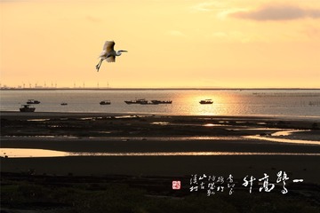 0013_一鹭高升( 正.真 摄影 )