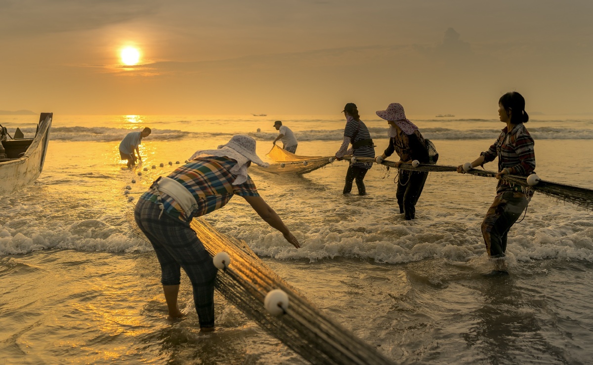 清晨的阳光沐浴在海滩上,捕捞的漁民辛勤的拖网,充满丰收的喜悦!