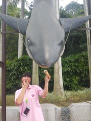 1207064