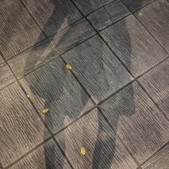 1533119