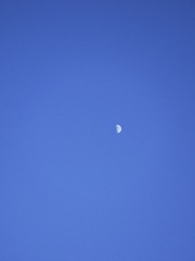 66E25176-BFBE-4C44-9D92-862F0655EE2A/L0/001