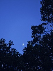 7921346C-11B3-4B31-A817-6B518A96127A/L0/001