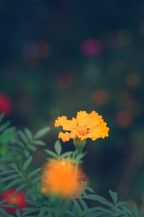 1280707