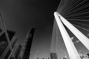 武汉月湖桥