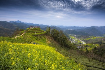 江南春早