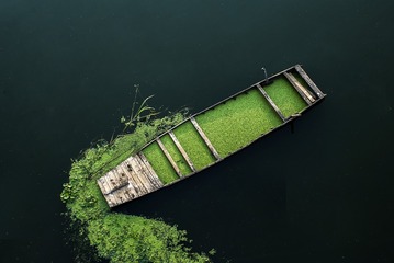 装满青苔的小船