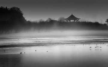 DSC_2119a1