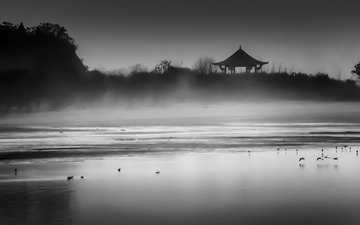 DSC_2119a1