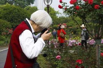 老有所乐