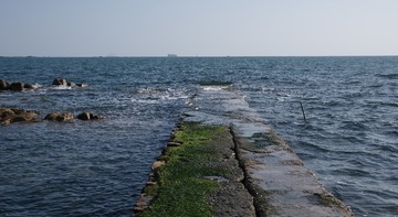 ED4F795B-4B6D-4025-A51C-380DA3EB2771/L0/001