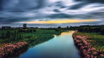 花海漂游