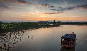 华阳湖花海漂游