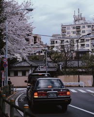 D09F7906-F1D8-407F-8F6B-B8468803DFA9/L0/001