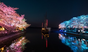 161317