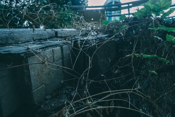 584623