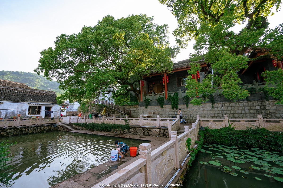 慈溪龙山镇的初夏