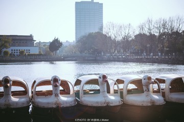 XBN_1195