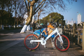 XBN_1221