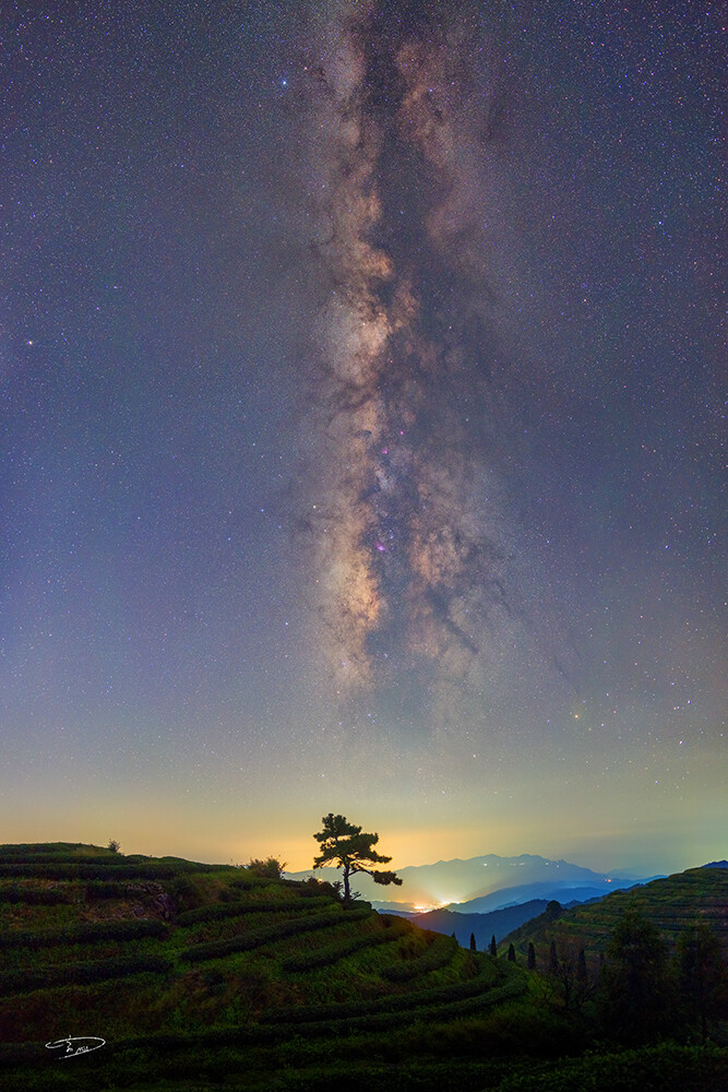 947266748.jpg