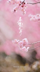5ECF0D6E-22D0-457D-AE98-D956554F149A/L0/001