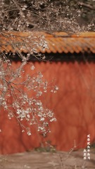 AFA27D88-B614-4035-9725-5F838B906E9C/L0/001