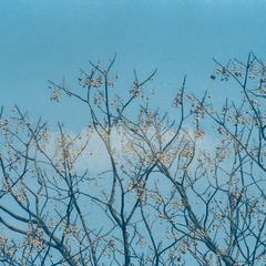 DD5C0049-484E-408B-9ED3-FF37189352D9/L0/001