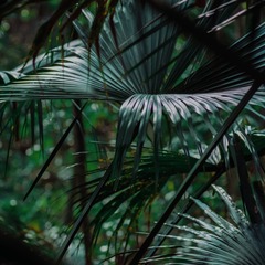 C4B24548-8FA7-47F4-ADCD-BC533C58BD1C/L0/001