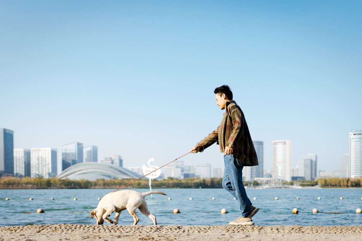 沙滩之上,夕阳下的一人一狗 - 江小雪 - 图虫