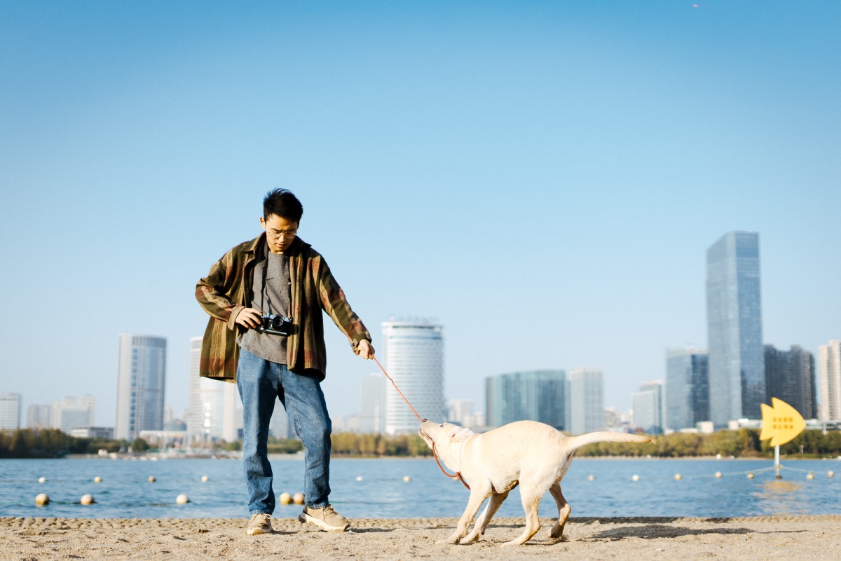 沙滩之上,夕阳下的一人一狗 - 江小雪