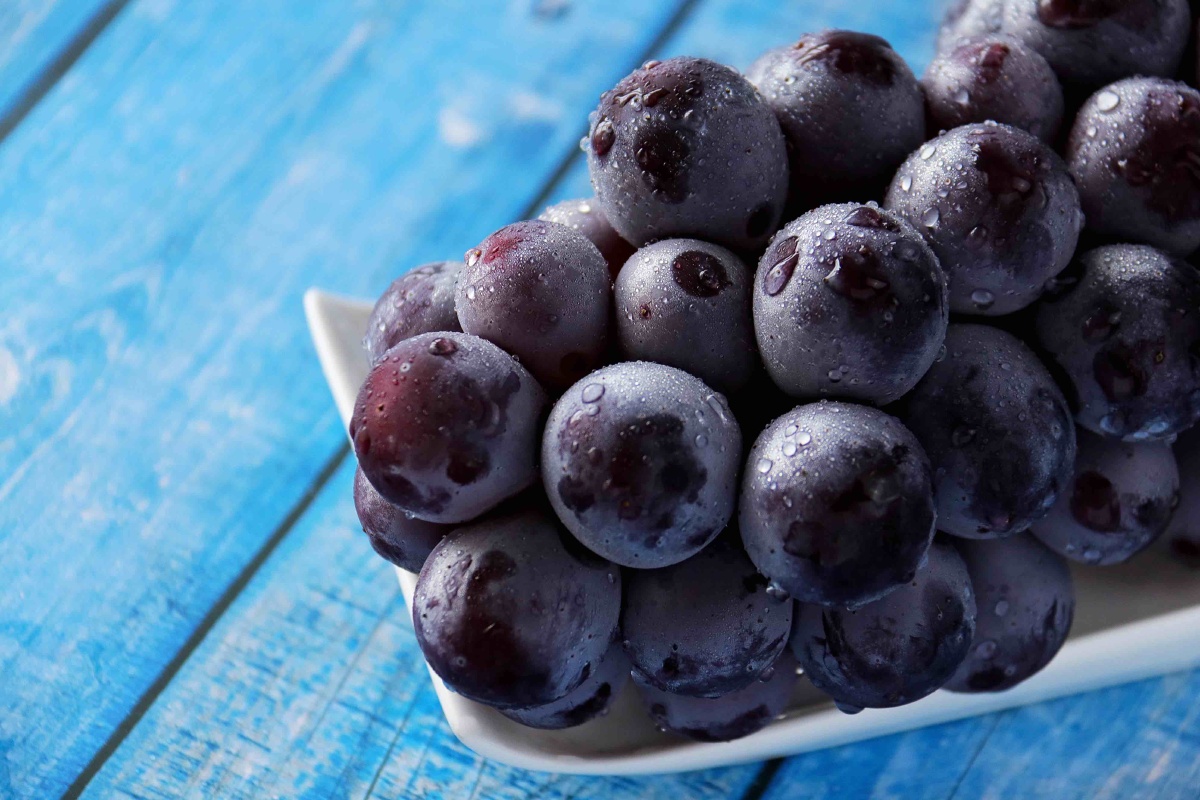 冰镇葡萄各种时令水果上线的季节幸福感每天都爆棚如果能忽略掉湿热的