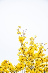 9B9A63B9-965D-4B21-9DD0-171B75D33CF0/L0/001