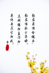 7D7B8119-38C5-4EAC-8CD1-E8CAE3602810/L0/001