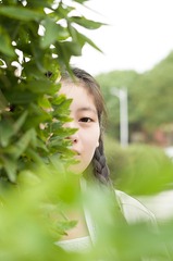 _IMG7312 