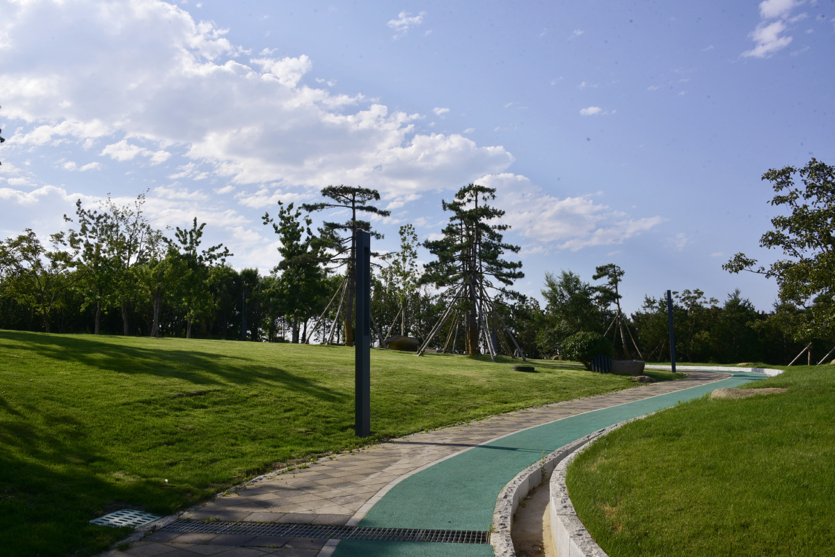 草坪绿道蓝天白云