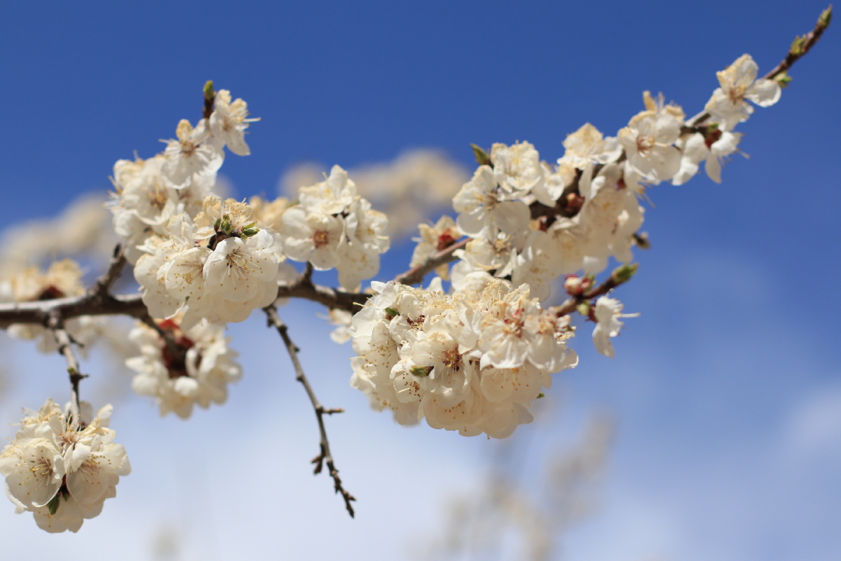 谈笑风生又一年